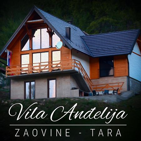 Villa Vila Anthelija Zaovine Lazici Exterior foto